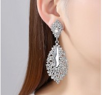 Auskarai "Crystal silver earrings"